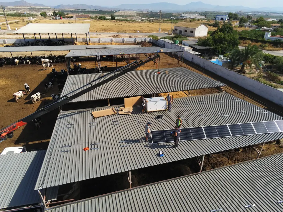 ANPE LAX (Murcia) : installation photovoltaïque réalisée par ALRO Solar, photo 1