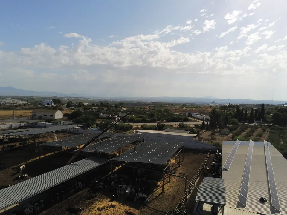 ANPE LAX (Murcia) : installation photovoltaïque réalisée par ALRO Solar, photo 2