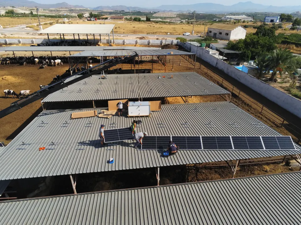 ANPE LAX (Murcia) : installation photovoltaïque réalisée par ALRO Solar, photo 3