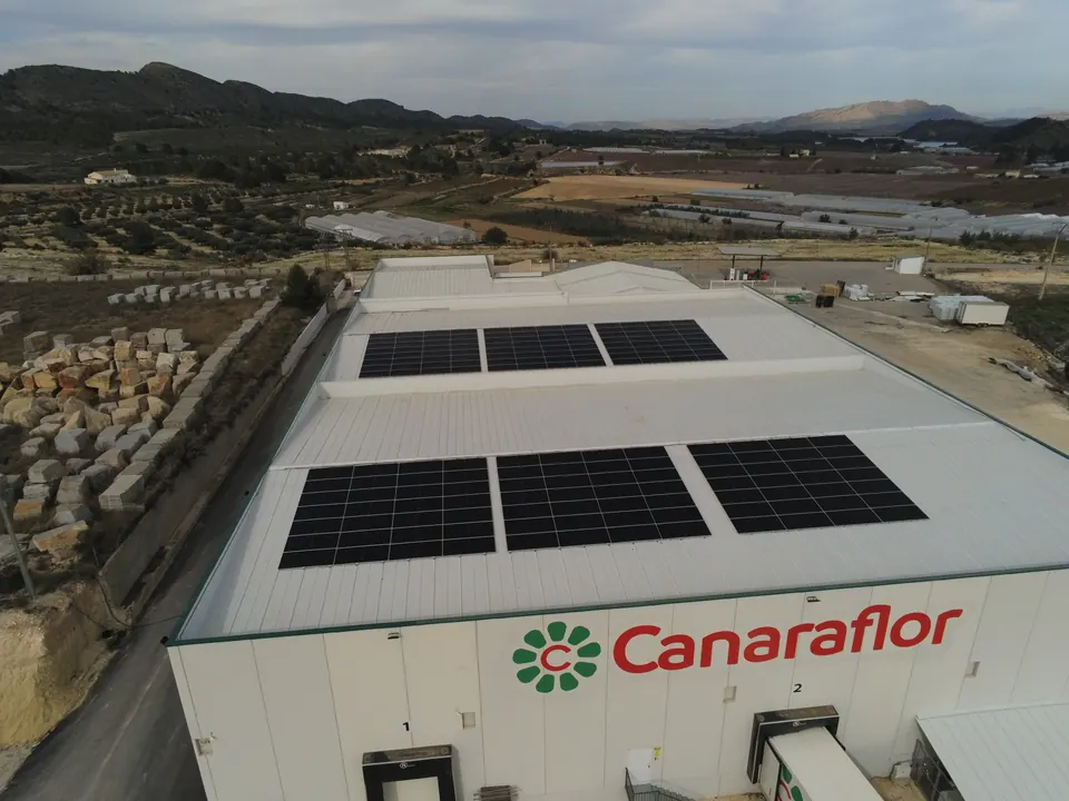 Canaraflor (Cehegín) : installation photovoltaïque de 112 kWc réalisée par ALRO Solar, photo 1