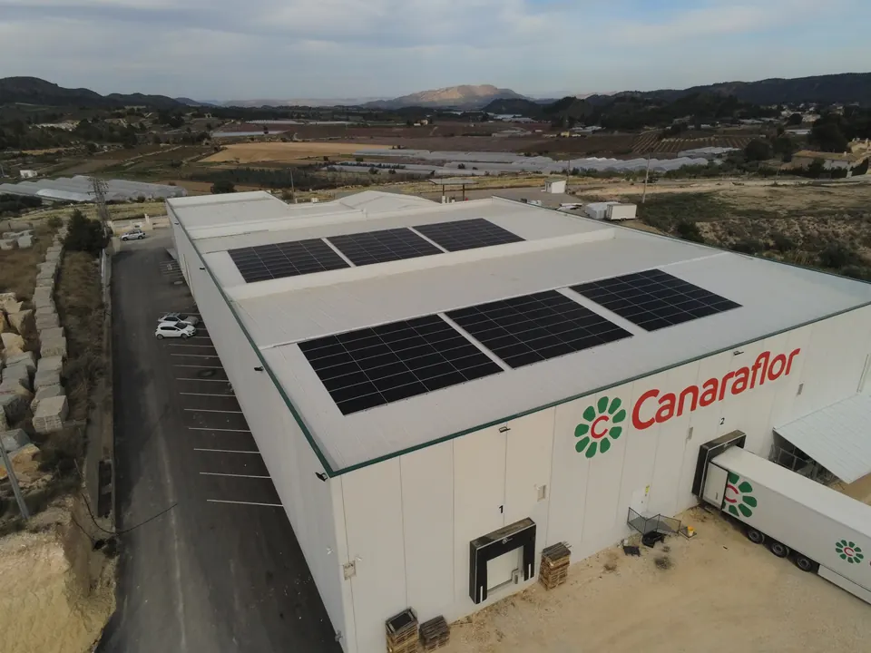 Canaraflor (Cehegín) : installation photovoltaïque de 112 kWc réalisée par ALRO Solar, photo 2