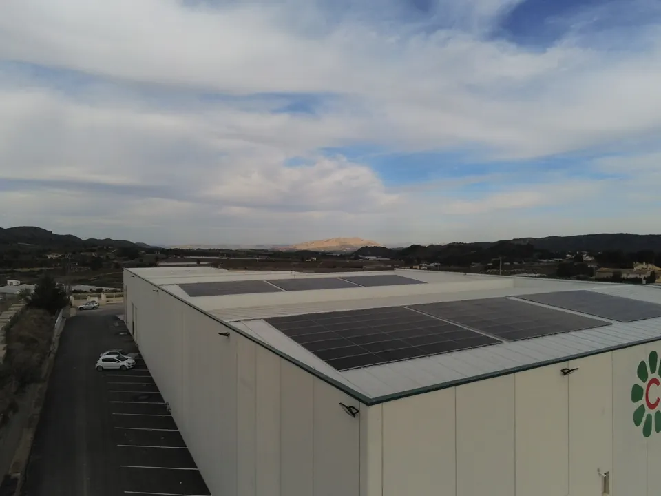 Canaraflor (Cehegín) : installation photovoltaïque de 112 kWc réalisée par ALRO Solar, photo 3