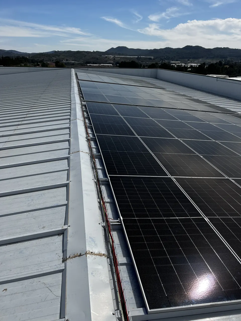 Canaraflor (Cehegín) : installation photovoltaïque de 112 kWc réalisée par ALRO Solar, photo 4