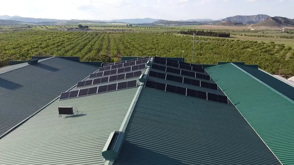 Cebollas Bernal (Cehegín) : installation photovoltaïque de 22 kWc réalisée par ALRO Solar, photo 1