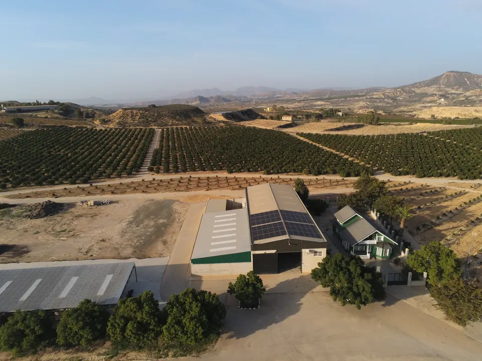 Ferbal (Cañadas de San Pedro) : installation photovoltaïque de 96 kWc réalisée par ALRO Solar, photo 3