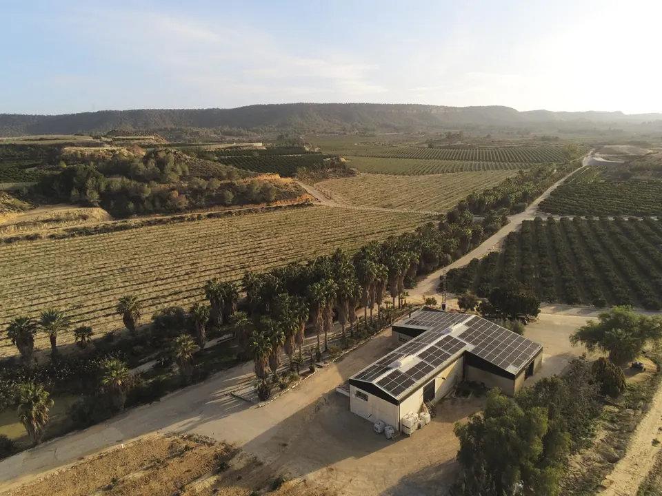Ferbal (Cañadas de San Pedro) : installation photovoltaïque de 96 kWc réalisée par ALRO Solar, photo 4