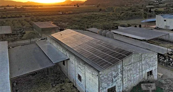 Granja Carmona (Santomera) : installation photovoltaïque de 42 kWc réalisée par ALRO Solar, photo 1
