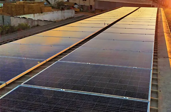 Granja Puente Alto (Los Dolores) : installation photovoltaïque de 22,4 kWc réalisée par ALRO Solar, photo 1