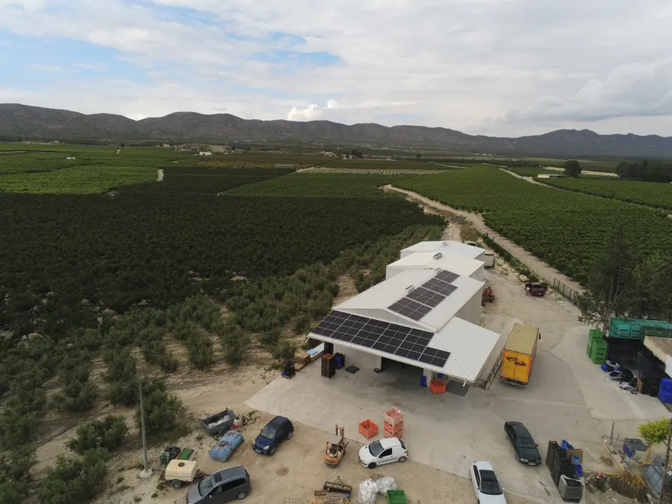 Marfruit Veracruz (Calasparra) : installation photovoltaïque de 25,3 kWc réalisée par ALRO Solar, photo 3